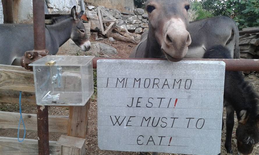 Snimio čitatelj