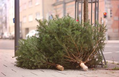 Evo kada ove godine treba raskititi bor, nije na Sveta tri kralja kako mnogi misle i rade