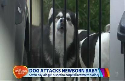 Nije bio agresivan: Obiteljski pas za lice ugrizao malu bebu