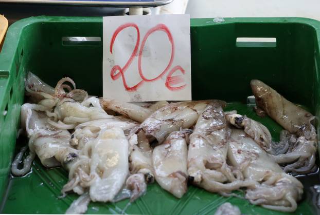 Šibenik: Ponuda na šibenskoj ribarnici