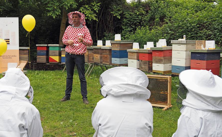 Od otrova mojih pčela radim kreme protiv bora i bolova