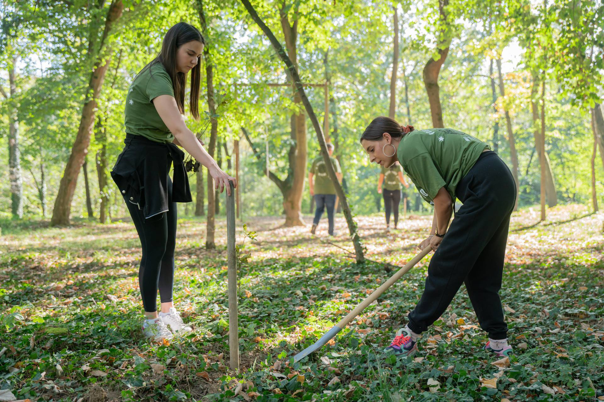 Na području grada Vukovara pomoću bespilotne letjelice i djece pošumljeno 30.000 m2