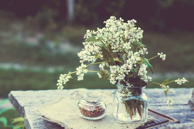 Transparent jar for loose products with dry buckwheat.