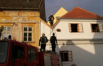 Vatrogasci s krova zgrade Poglavarstva spasili macu