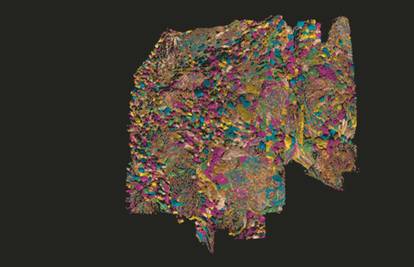 Fascinantno: Pogledajte dosad najkompleksniju mapu mozga