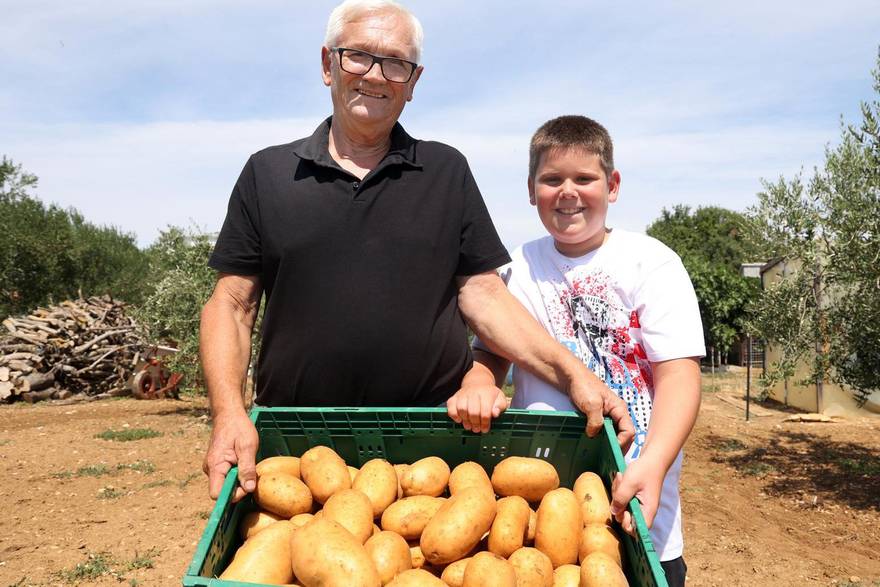 Djed i unuk (10) uzgojili kapulu od 2,37 kg i tri tone krumpira: 'Moj did i ja imamo ga za sve!'