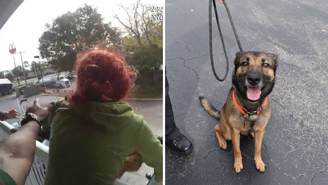 Bacila svog psa s drugog kata: 'Htjela sam je samo zaštititi od policajaca! Nemojte je ubiti!'