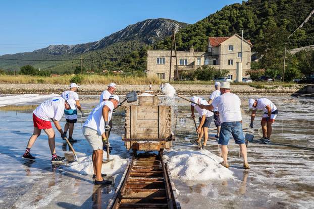Berba soli u Stonskoj solani