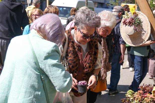 Osijek: Festival cvijeća i drveća 2026.