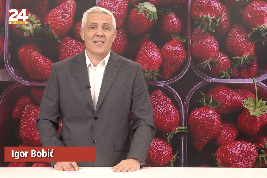 Gledajte '240 sekundi' 24sata: DORH se bavi aferom jagode. Uništena 21 braniteljska obitelj