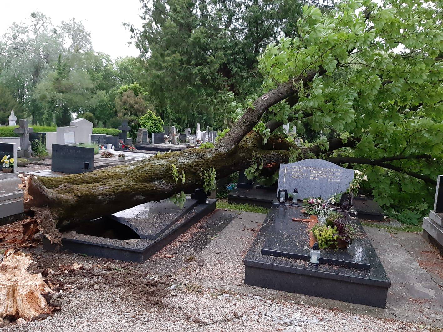 Olujni vjetar iščupao je stablo, ogradu, nabujale su rijeke...