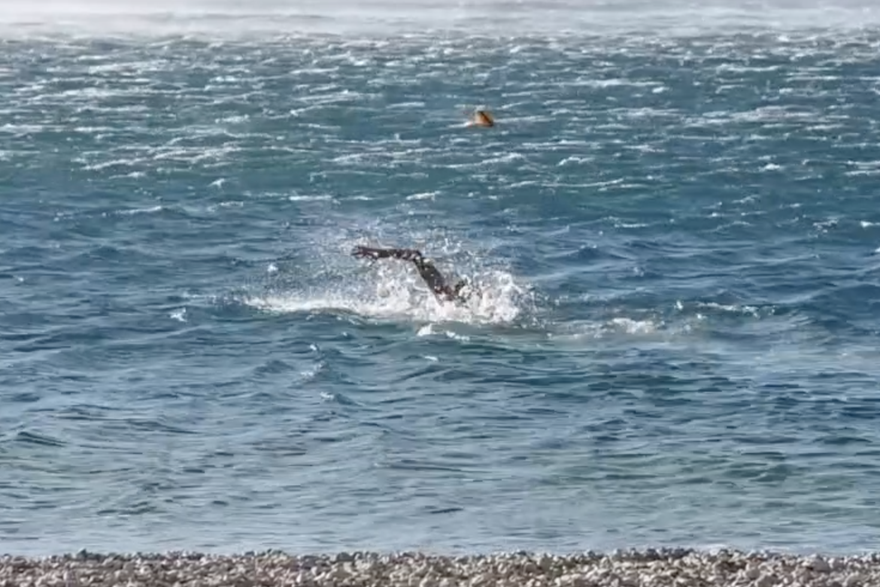 Makarska: Valentino Gojak okupao se buri