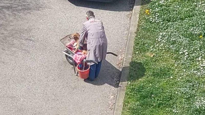 Fotka rasplakala Hrvatsku: 'Susjed svog bolesnog i starog psa svaki dan vozi na livadu'