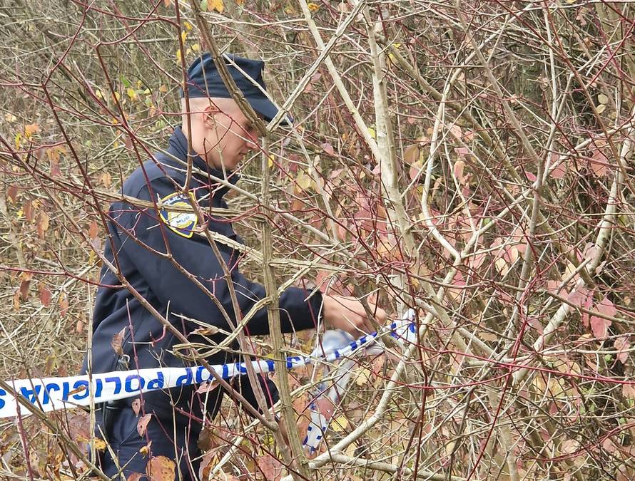 STRAVA KOD VELIKE GORICE Žena (40) ubila člana obitelji