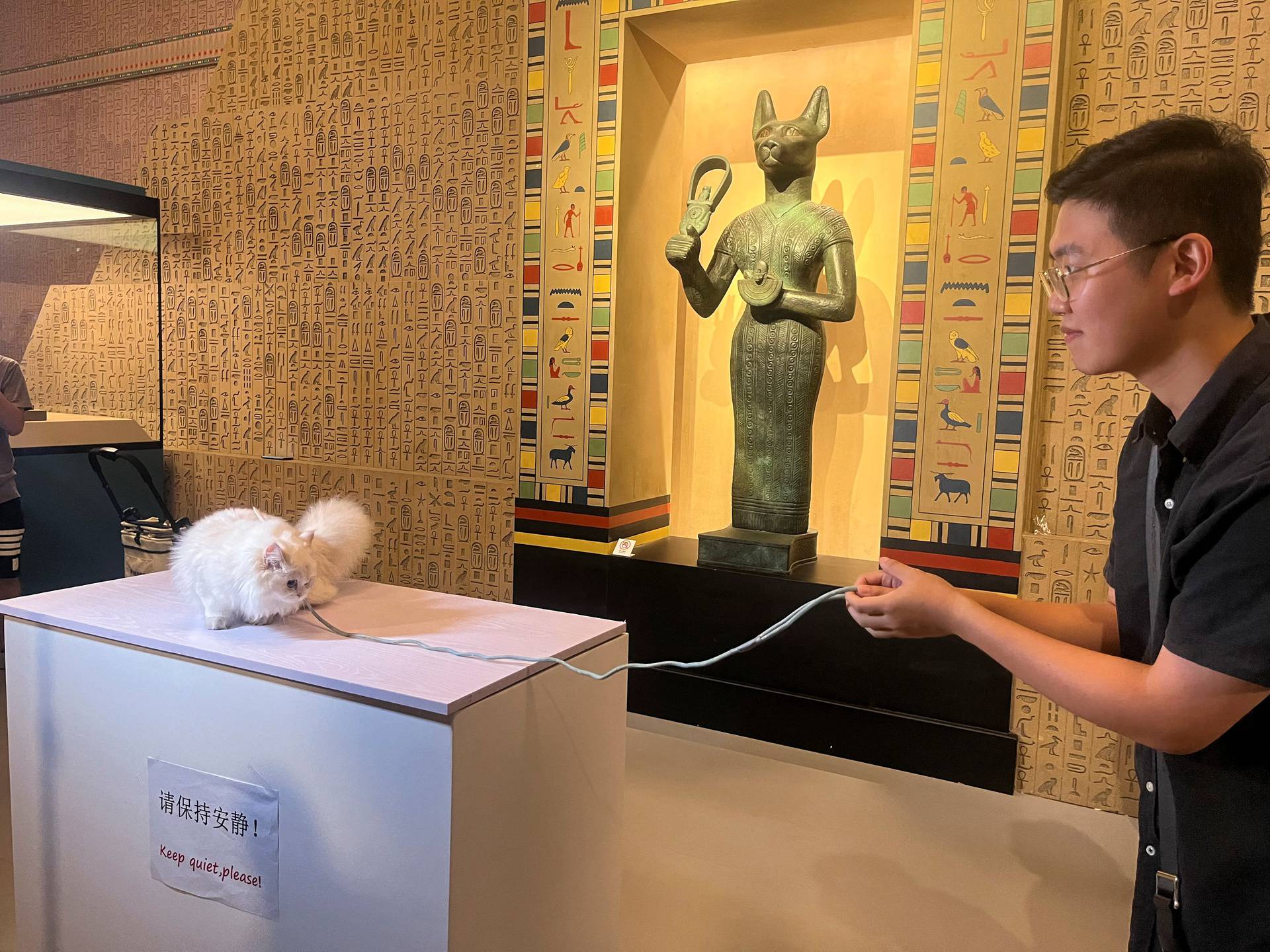 A cat owner helps a cat visitor pose for a photo in front of a statue depicting the cat goddess Bastet at Shanghai Museum's "Meow Night\