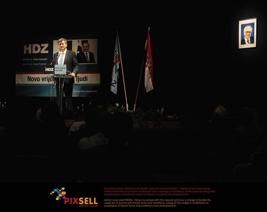 Davor Višnjić/Pixsell