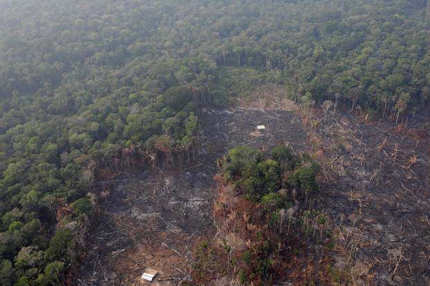 An aerial view of a deforested plot of the Amazon near Humaita