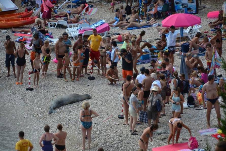 Duško Marušić/PIXSELL