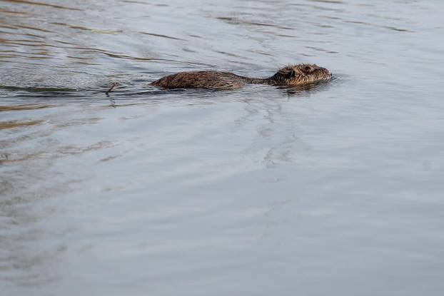 Sunčan dan na jezeru Savica