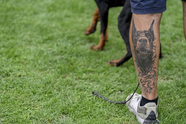 Velika Gorica: IDC Svjetsko prvenstvo pasmine doberman