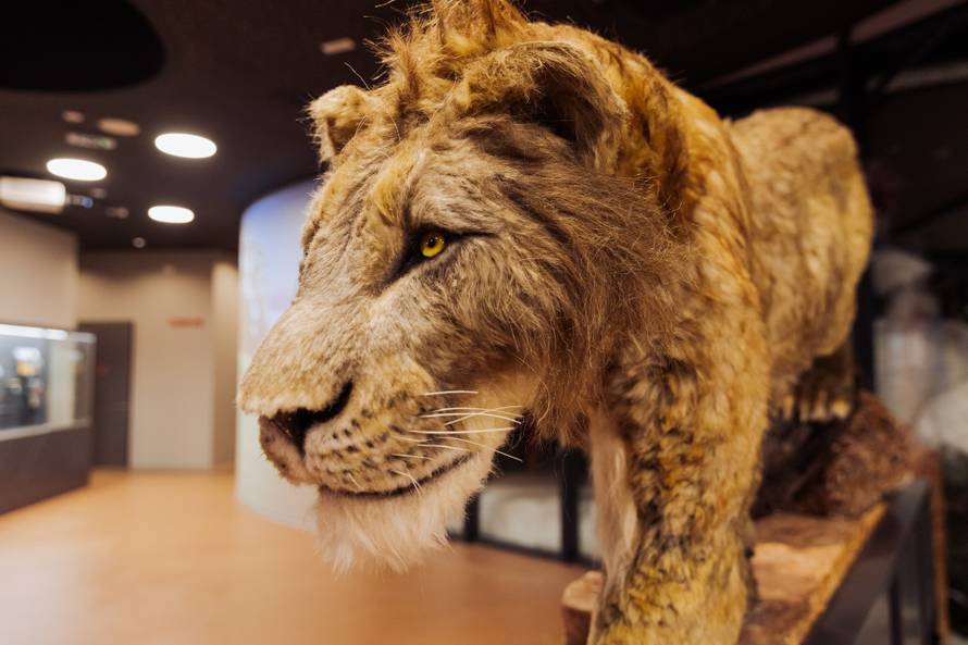 Otkrijte tajne podzemlja - interpretacijski centar blizu Plitvica otvoren je cijelu godinu