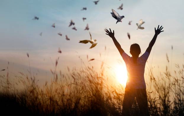 Woman praying and free bird enjoying nature on sunset background