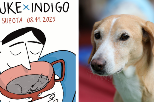 Upoznajte šapice koje traže novi dom, donirajte im igračke, a ondje vas čeka i iznenađenje!