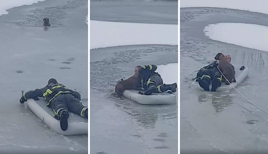 'Nije to bilo ništa. Ali, sin kaže da sam zvijezda. Ponosan je...'