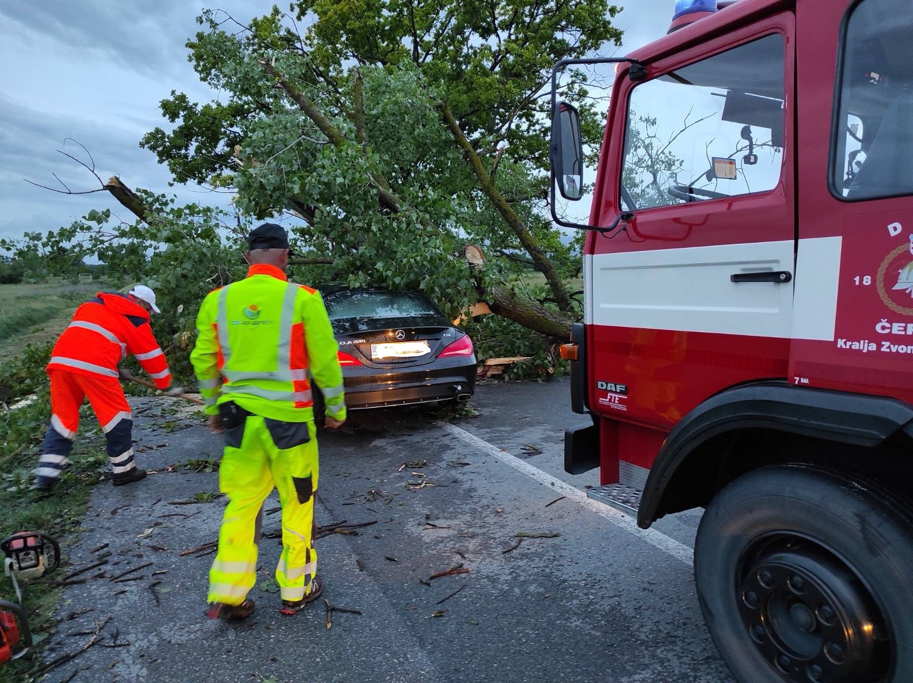 Čepin: Drvo palo na automobil i smrskalo mu cijeli prednji kraj