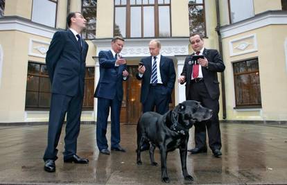 Koji 'neugodnjak': Putinov pas pojeo kolače za goste
