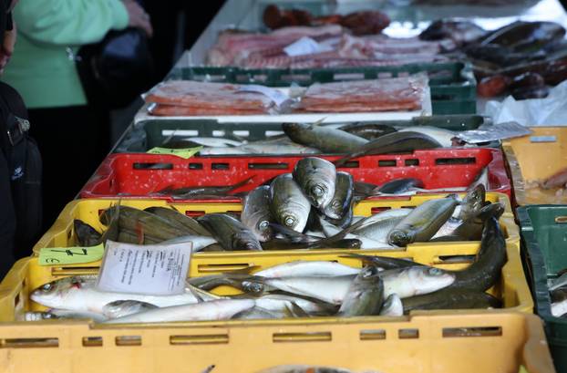 Šibenik: Poskupljenje plavog dizela još se nije odrazilo na cijene u ribarnici