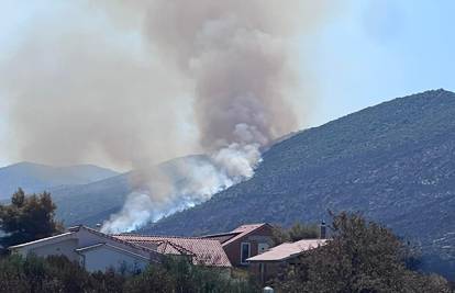 Akcija pošumljavanja Boranka u Grebaštici gdje je bio veliki požar okupila 1000 volontera