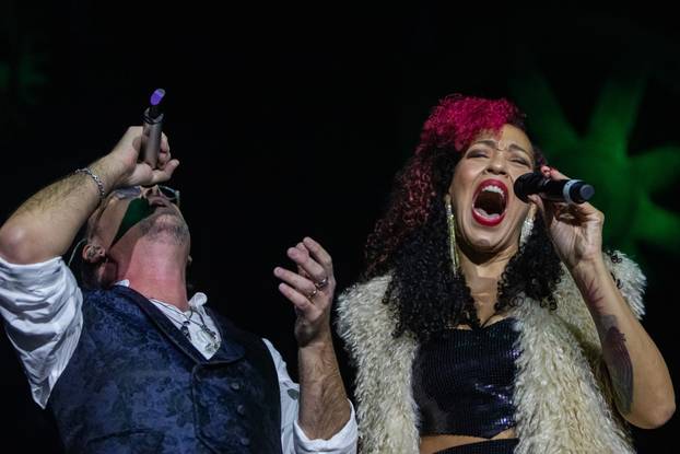 Zadar: Gibonni održao koncert u prepunoj dvorani Krešimira Ćosića