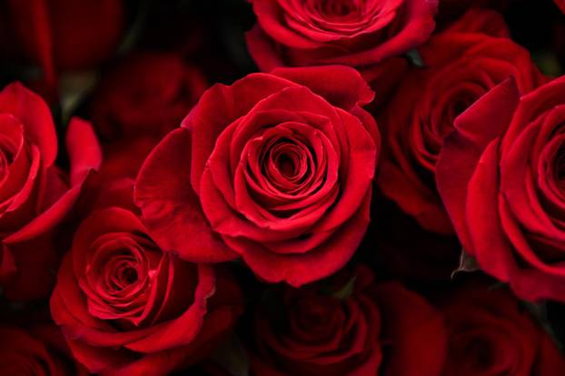 Zagreb: Atelijer sreće u Maloj ulici okićen za Valentinovo 