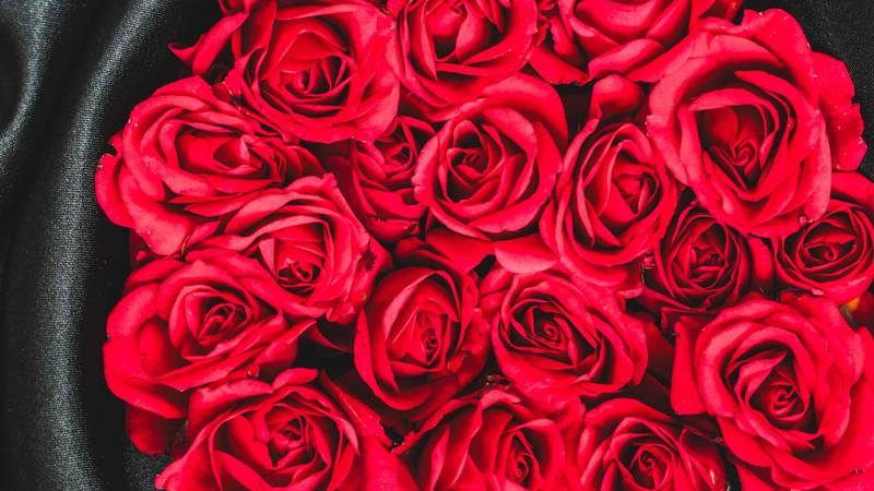 Pazite koje cvijeće poklanjate za Valentinovo, evo koju poruku šalje crvena ruža, žuta, bijela...