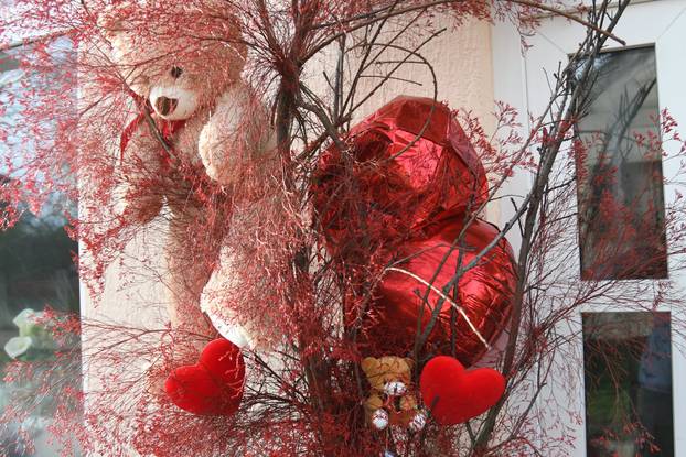 Valentinovo u Bjelovaru