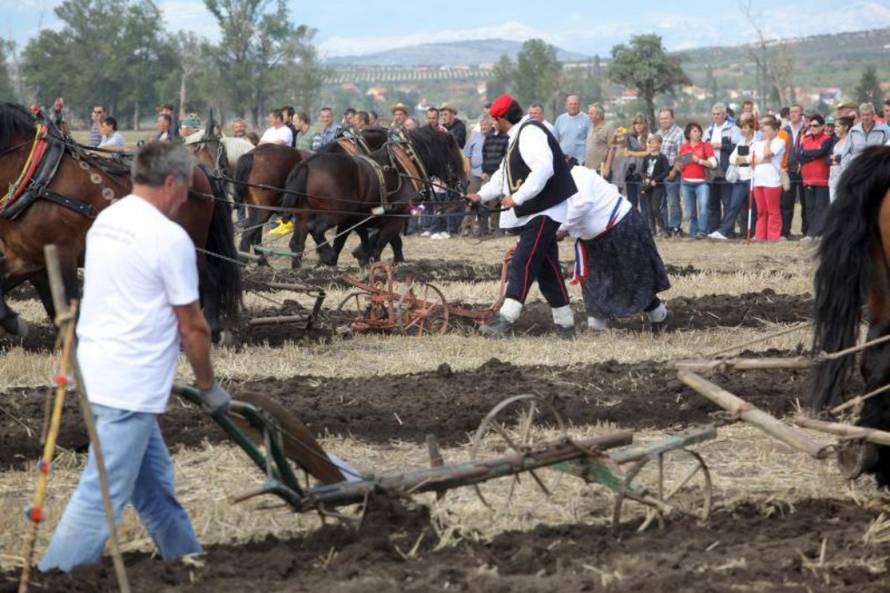 Željko Mršić/Pixsell