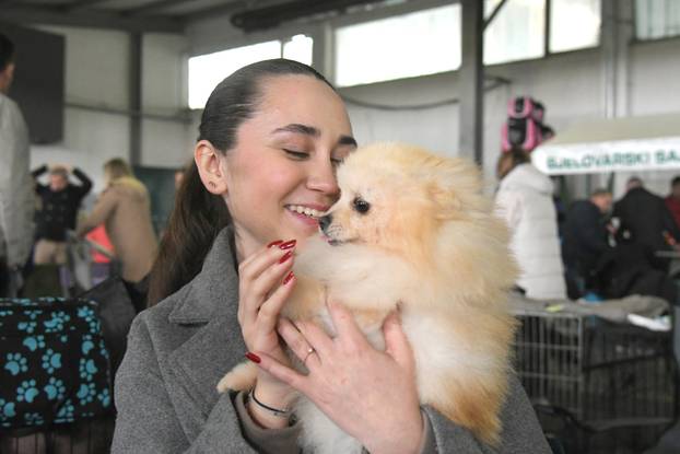 Bjelovar: Nacionalna izložba pasa održana je na sajamskom prostoru u Gudovcu