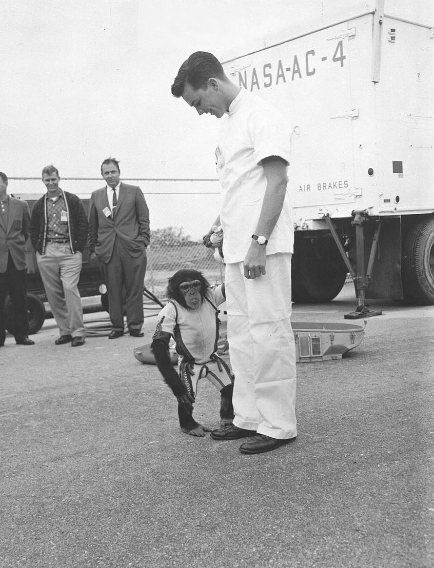 Ham, the first chimpanzee to journey into space, is shown by his trainer at Cape Canaveral, Florida. This historic moment marked a significant milestone in the early years of human space exploration, contributing to the development of spaceflight technolo