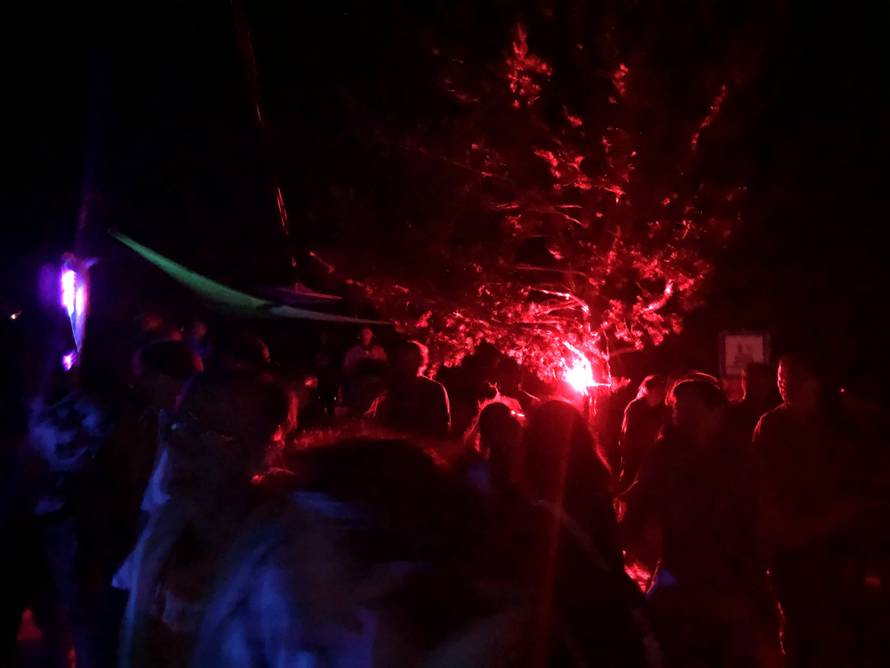 Goli, bosi i u deliriju: Bili smo na psihodeličnom partyju u Lici