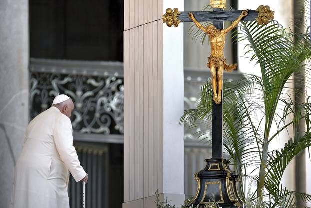 Pope Francis celebrates the Palm Sunday mass