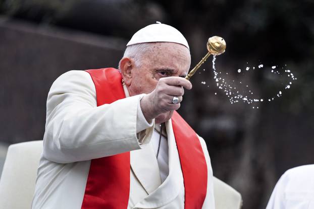 Pope Francis celebrates the Palm Sunday mass
