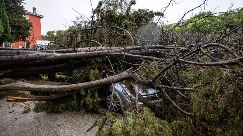 The hazard of thunderstorms did not go through: Here are the regions of warnings for
