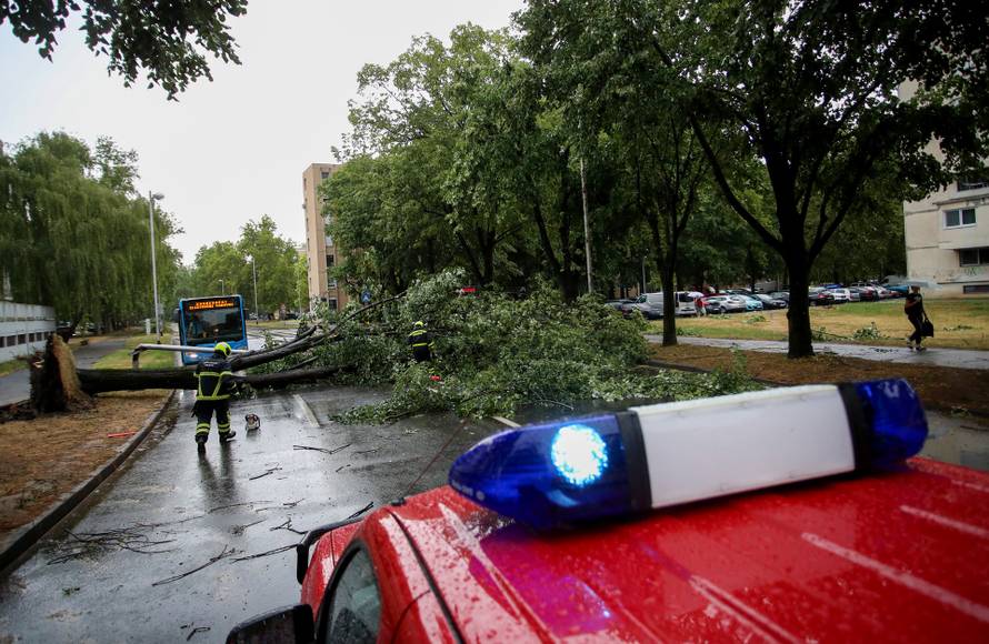 Zagreb: Vatrogasci uklanjaju stablo koje je palo u Ulici Svetog Mateja