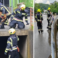 FOTO Zagrebački vatrogasci su spasili život srnjaku: Pao je u potok nakon jakog nevremena
