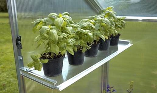 Plastenik od polikarbonata ili folije: Koji se stvarno isplati?