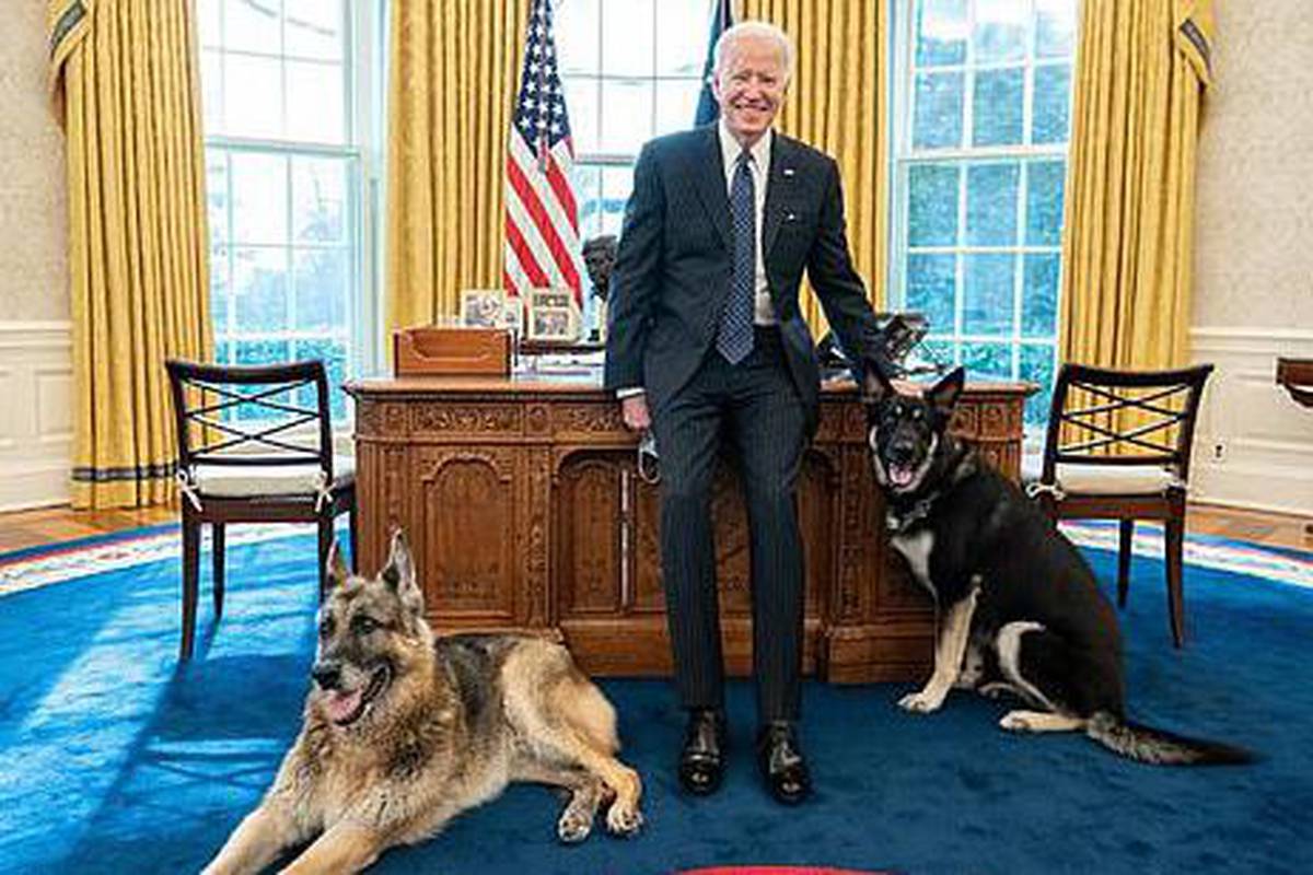 Problemi u Bijeloj kući: Bidenov pas Major ugrizao zaštitara