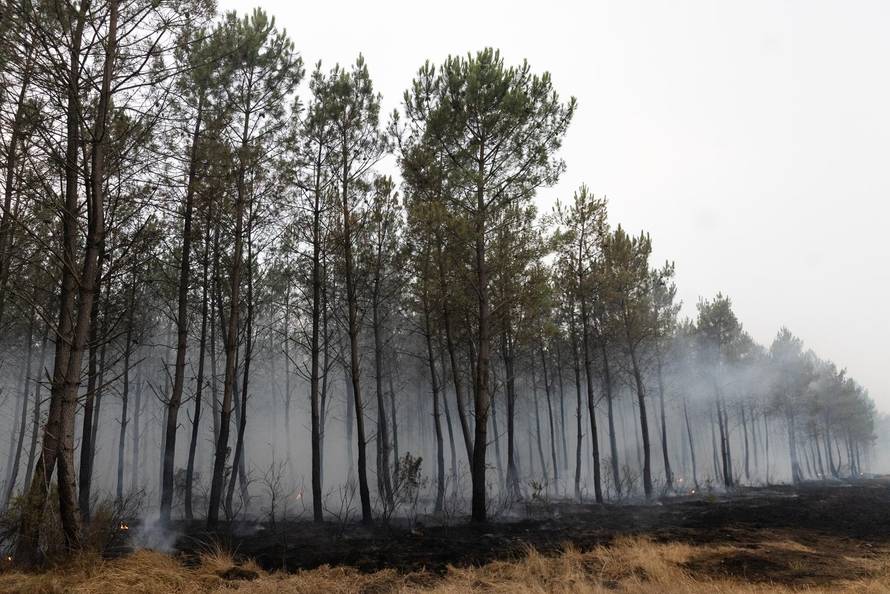 Wildfires rage in southern France