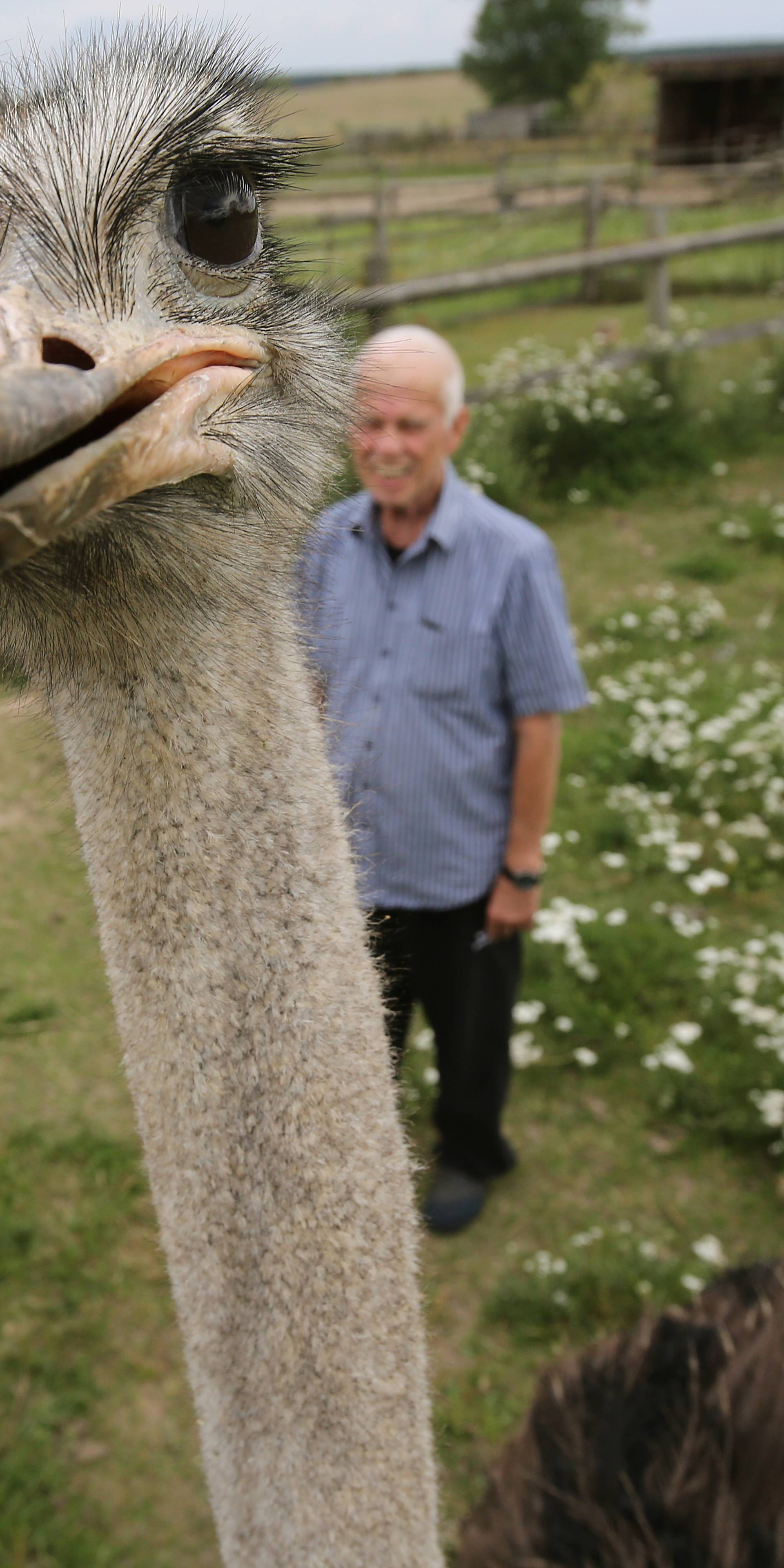 Feature tour through Brandenburg - Ostrich farm in Reichenberg