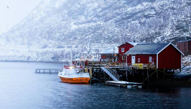FOTO Zombi apokalipsa nije moguća, ali da je...: Ovo bi bile najsigurnije države za skrivanje